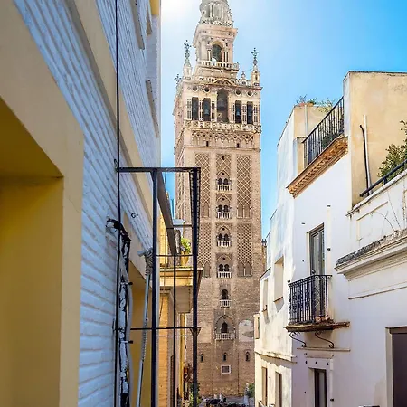 Genteel Giralda *
